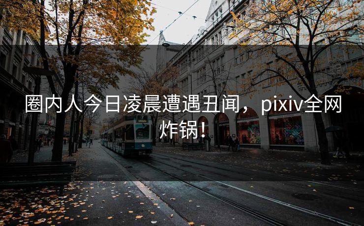圈内人今日凌晨遭遇丑闻，pixiv全网炸锅！