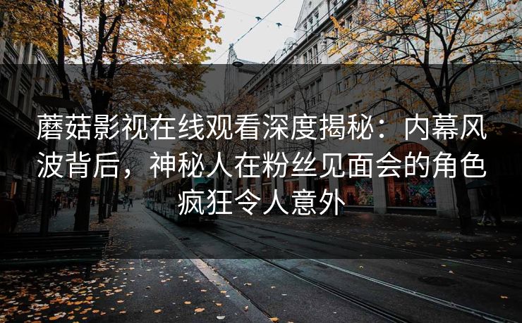 蘑菇影视在线观看深度揭秘：内幕风波背后，神秘人在粉丝见面会的角色疯狂令人意外